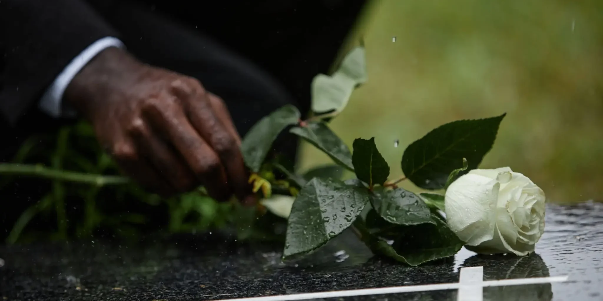 A hand placing a white rose on a grave with a candle nearby.
